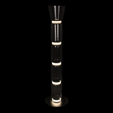 Торшер светодиодный Loft IT Noctambule 10193F/L