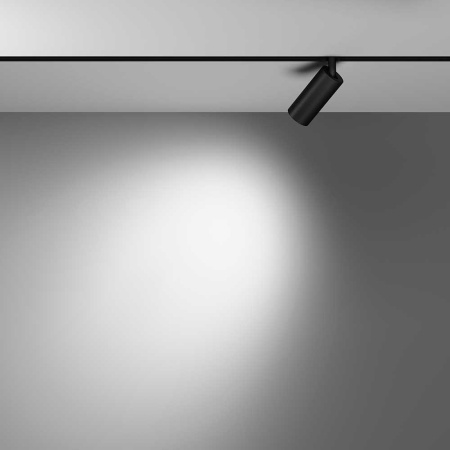 Трековый светодиодный светильник Maytoni Technical Focus Led TR032-2-5W4K-W-B