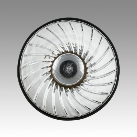 Светильник подвесной Lumion Suspentioni 8050/1A