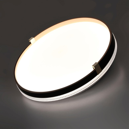 Настенно-потолочный светодиодный светильник Sonex Pale Olidi Black 7647/DL