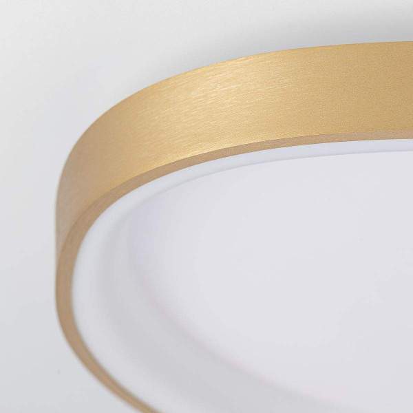 Потолочный светодиодный светильник Citilux Genka Smart CL756A142