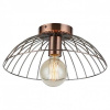 Потолочный светильник Lussole Loft Brooks GRLSP-8249