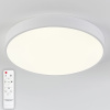 Потолочный светодиодный светильник Natali Kovaltseva LED LAMPS 81112/5C