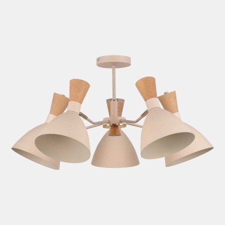 Потолочная люстра Evoluce Vista SLE1256-502-05