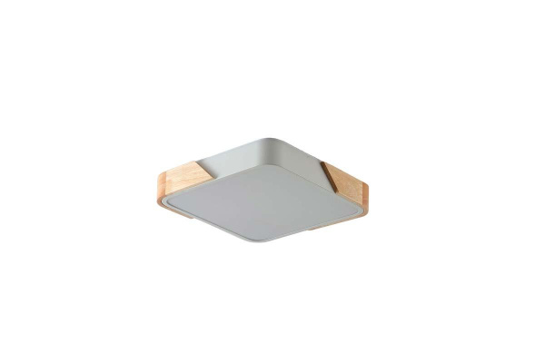 Потолочный светильник Zortes ALBERRO ZRS.01285.48