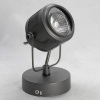 Спот Lussole Loft Haines GRLSP-8045