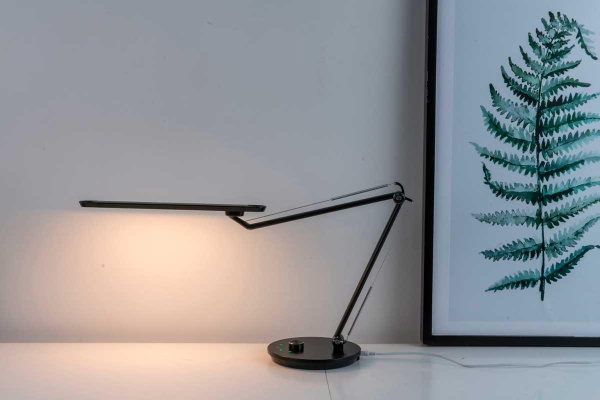 Настольная лампа Camelion KD-842 C02 13520