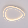 Потолочный светодиодный светильник Citilux Trio CL215B220