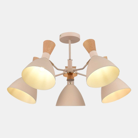 Потолочная люстра Evoluce Vista SLE1256-502-05