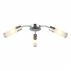 Потолочная люстра Omnilux Lavarone OML-28707-03
