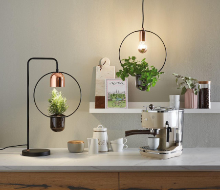 Подвесной светильник Paulmann Fanja 79749