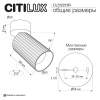 Спот Citilux Axel CL512213R