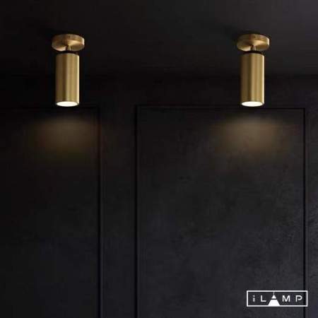 Спот iLamp Plum 8861C BR-BK