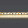 Светодиодная лента Lightstar 24W/m 240LED/m дневной белый 5M 421024