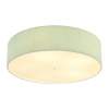 Потолочный светильник Lumion Gofera Moderni 8326/5
