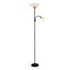 Торшер Arte Lamp Duetto A9569PN-2BK