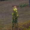 Ландшафтный светильник Odeon Light Liana Nature 7108/15GL