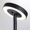 Ландшафтный светильник Odeon Light Disc Nature 7189/6GL