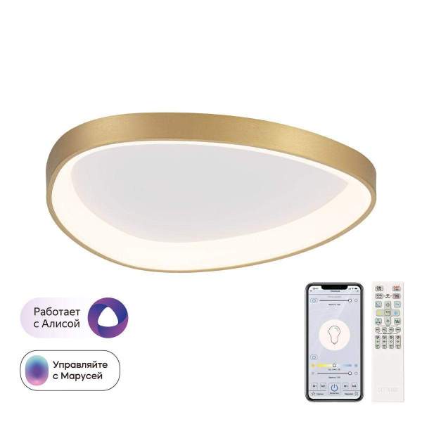 Потолочный светодиодный светильник Citilux Genka Smart CL756A142