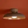 Потолочный светильник Freya Modern Movement FR5602CL-L10BR