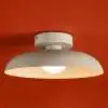 Потолочный светильник Freya Modern Movement FR5602CL-L10W