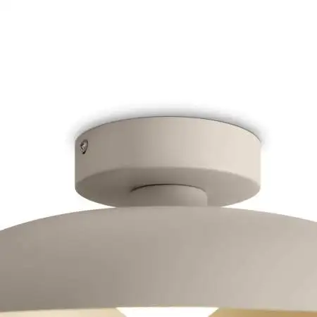 Потолочный светильник Freya Modern Movement FR5602CL-L10W