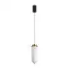 Подвесной светильник Freya Modern Iride FR5627PL-L15BBS