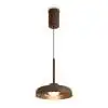 Подвесной светильник Freya Modern Movement FR5602PL-L5BR