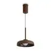 Подвесной светильник Freya Modern Movement FR5602PL-L5BR