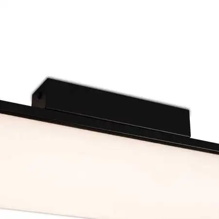 Потолочный светильник Freya Modern Even FR5625CL-L20B