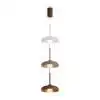 Подвесной светильник Freya Modern Movement FR5602PL-L5BR