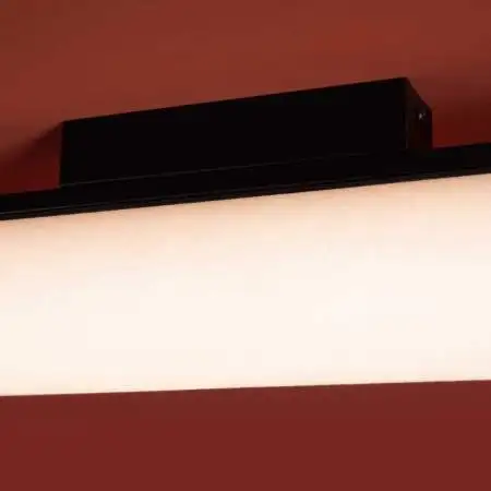 Потолочный светильник Freya Modern Even FR5625CL-L20B