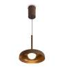 Подвесной светильник Freya Modern Movement FR5602PL-L5BR