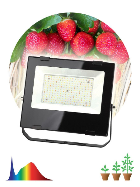 Прожектор светодиодный для растений ЭРА 100W 4000K Fito-100W-Ra90-Led Б0047876