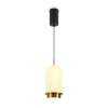 Подвесной светильник Freya Modern Iride FR5627PL-L7BBS