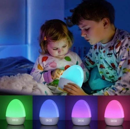 Настольный светодиодный ночник NiteBird LB2