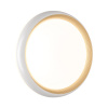 Настенно-потолочный светодиодный светильник Sonex Pale Tofiq White 7650/DL