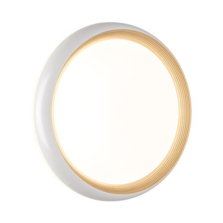 Настенно-потолочный светодиодный светильник Sonex Pale Tofiq White 7650/DL