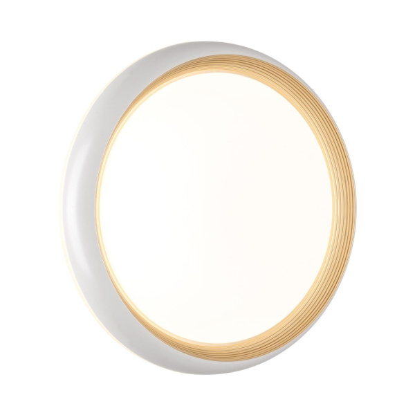 Настенно-потолочный светодиодный светильник Sonex Pale Tofiq White 7650/DL