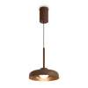 Подвесной светильник Freya Modern Movement FR5602PL-L5BR