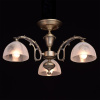 Потолочная люстра MW-Light Ариадна 450011503
