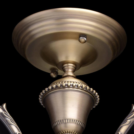 Потолочная люстра MW-Light Ариадна 450011503