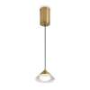 Подвесной светильник Freya Modern Cave FR5631PL-L5BS