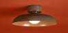 Потолочный светильник Freya Modern Movement FR5602CL-L10BR