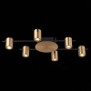 Потолочная люстра ST Luce Veroli SL1207.402.06