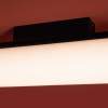 Потолочный светильник Freya Modern Even FR5625CL-L20B
